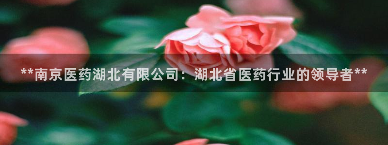 J9九游会旧版