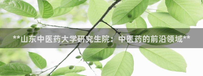 九游会登录网站吗