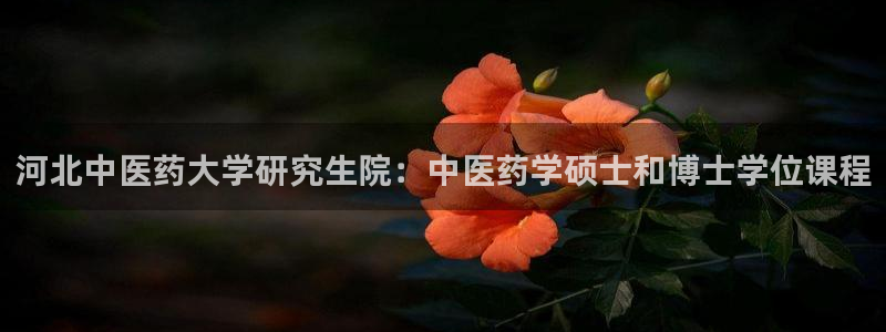 九游会网页