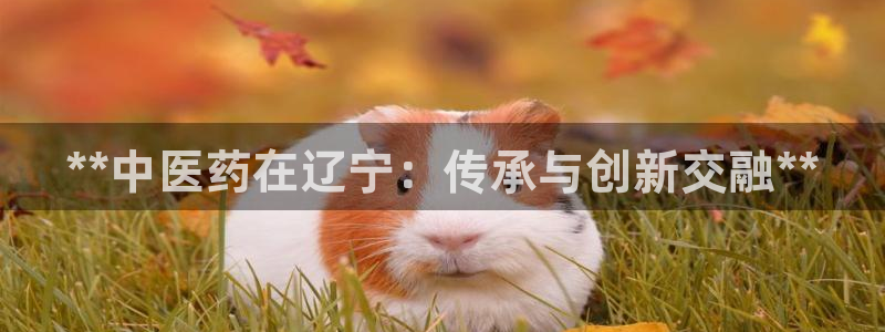 九游会倒闭