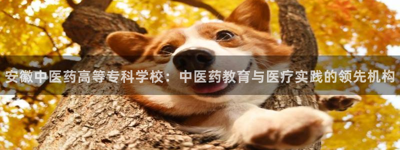 ag老队