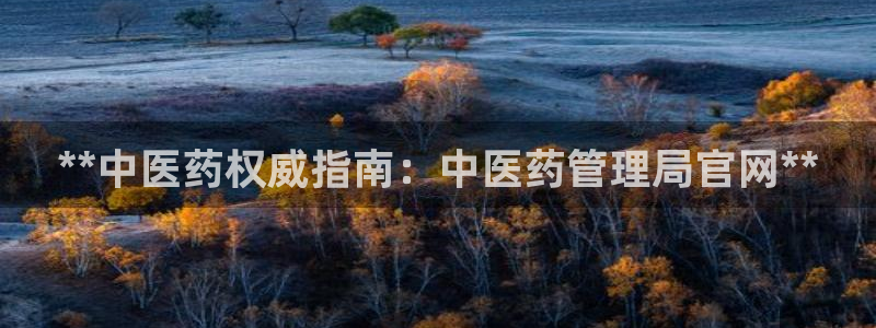 j9九游会登录