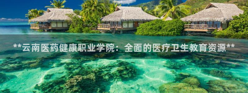 j9九游会app官网下载