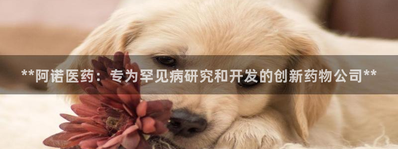 J9九游会试玩入口