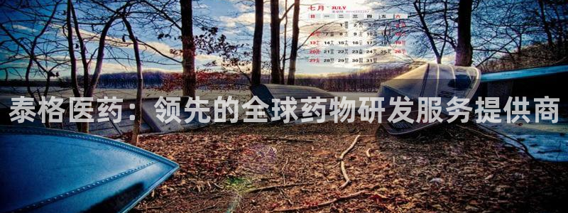 九游会ag网址大全专业版