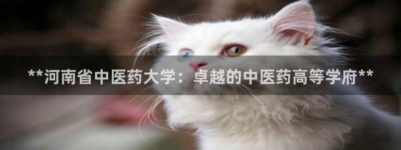 ag九游会登录中心