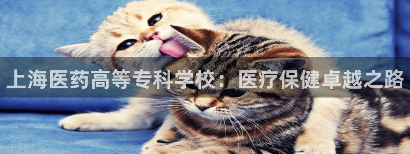 九游会平台登录不上