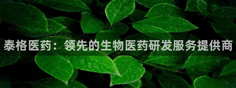 九游会官网APP平台