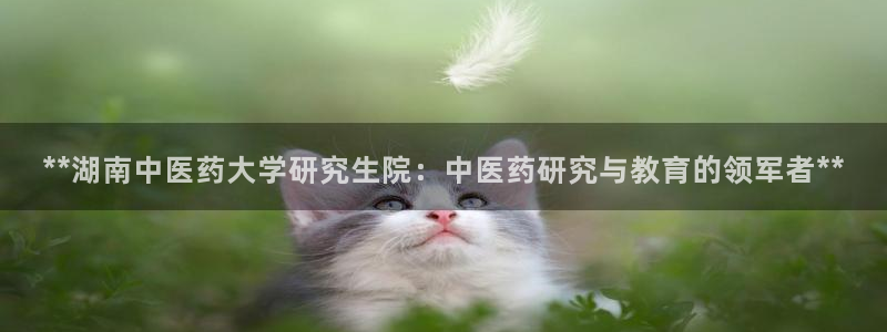 J9九游会老哥