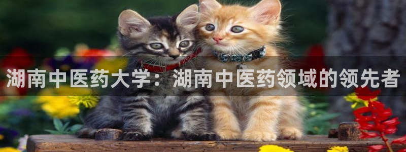 九游会官网