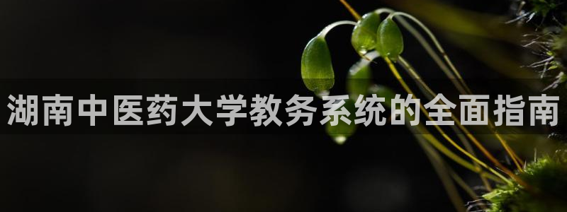 九游会网页版登录