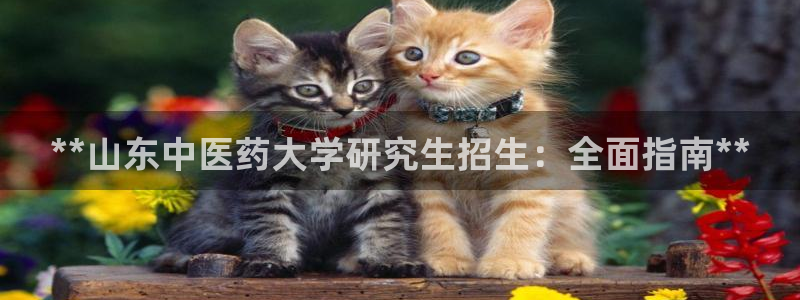 九游会官网个人中心登录