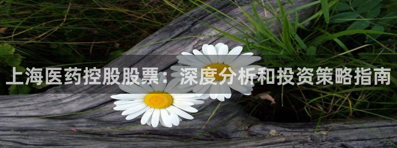 九游会官网真人