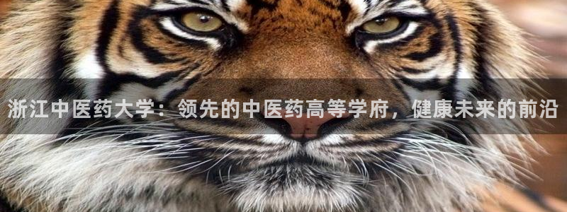j9九游会官方网站