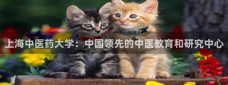 九游会中国j9 09.ag