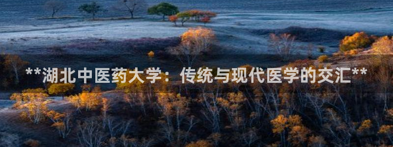 九游会官网真人游戏第一品牌