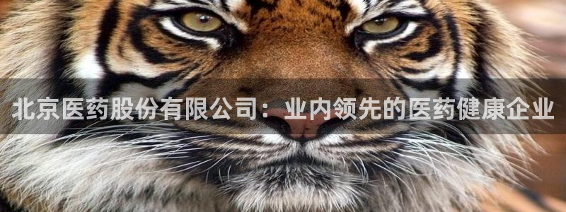 九游会登不上