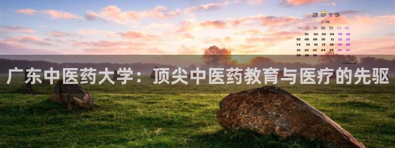 九游会官网真人认证吗