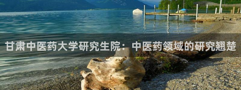 j9九游登陆