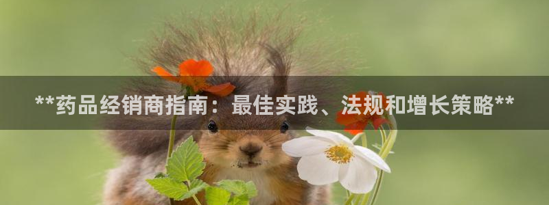 j9九游登陆