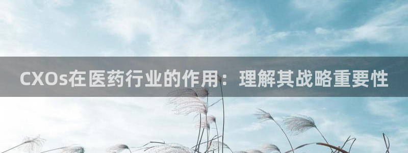 九游会是一个什么网站
