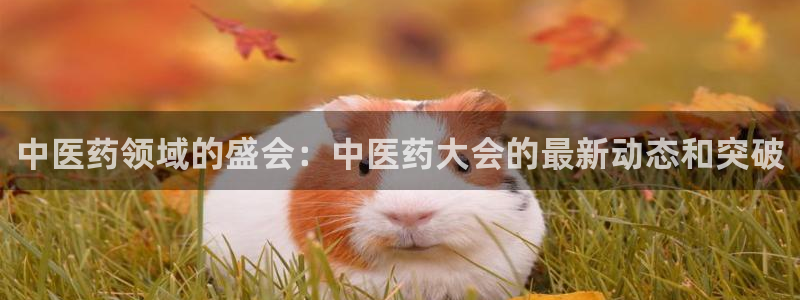 九游会是什么组织