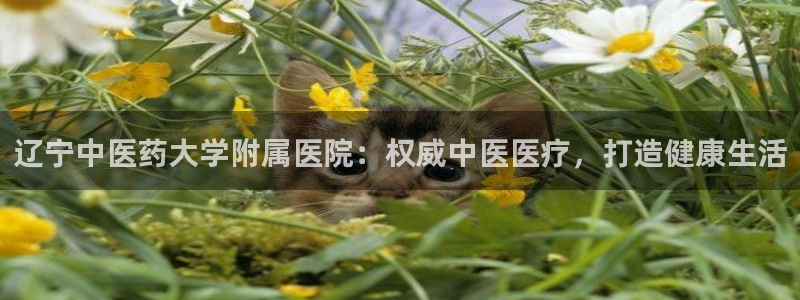j9九游会安卓版下载