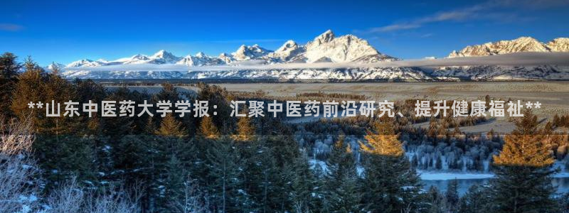 j9九游会合法吗