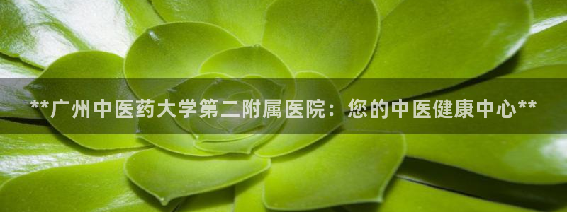 ag8九游会登入