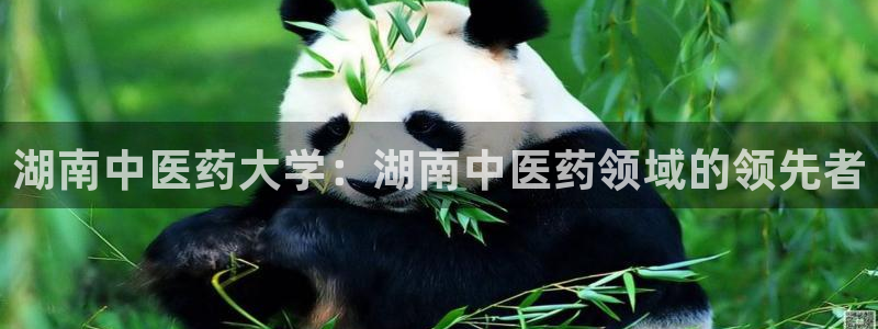 九游会提款快吗