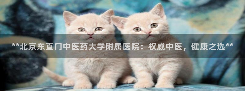 九游会ag真人官网