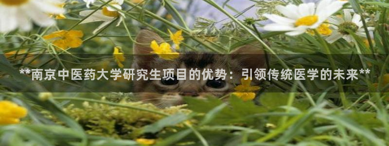 j9九游会入口j9