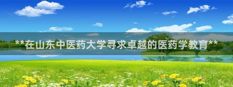 九游会平台app