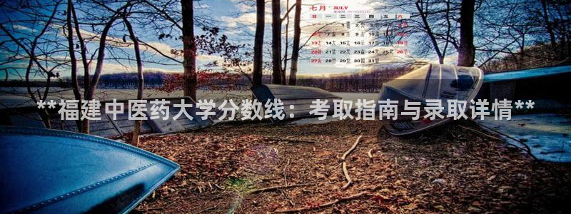 九游会网站打不开了