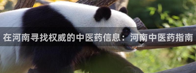 九游会ag登陆