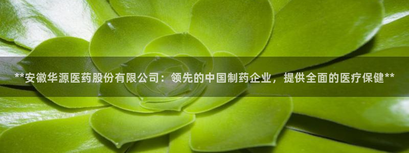 J9九游会强势登录