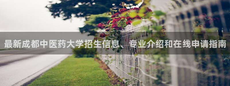 j9九游会如何充值