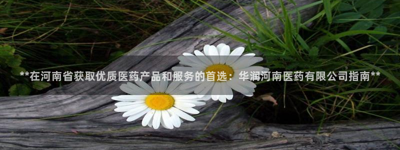 九游会官网个人中心登录
