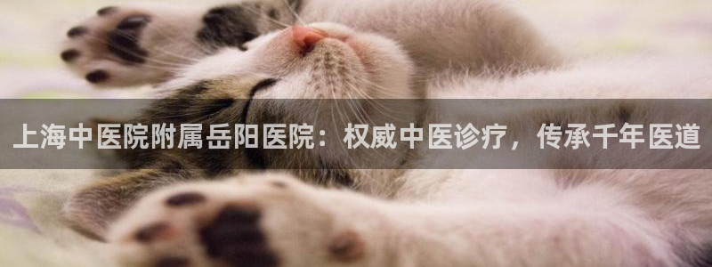 九游会国际厅有限责任公司