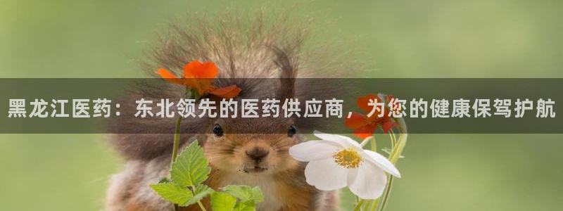 9游会app