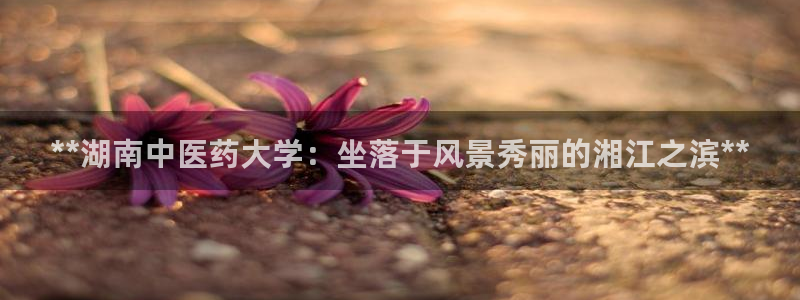 九游会集团国际