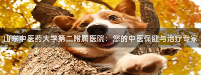 ag手游俱乐部