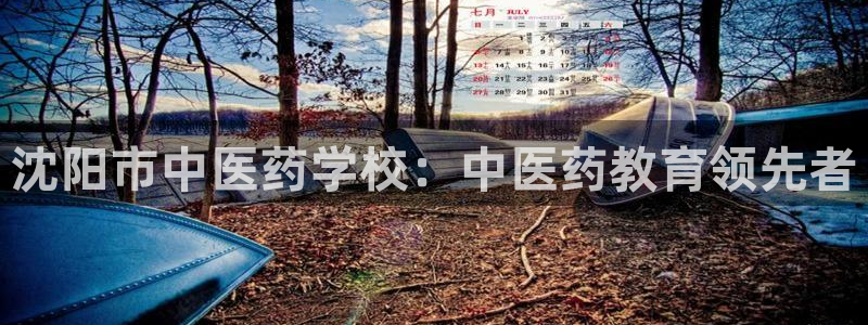 j9九游会怎么样