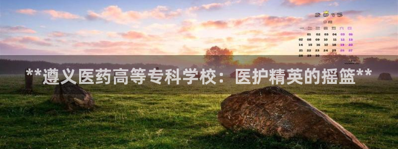 九游会在线官方网站下载吗