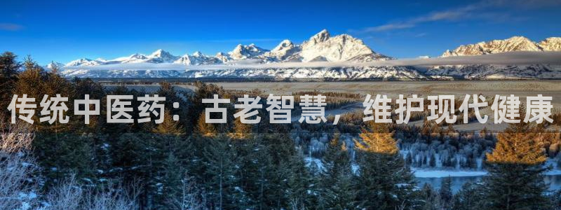 j9九游会官网入口