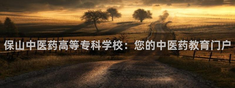 九游会进不去了