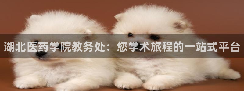 ag九游会客户端