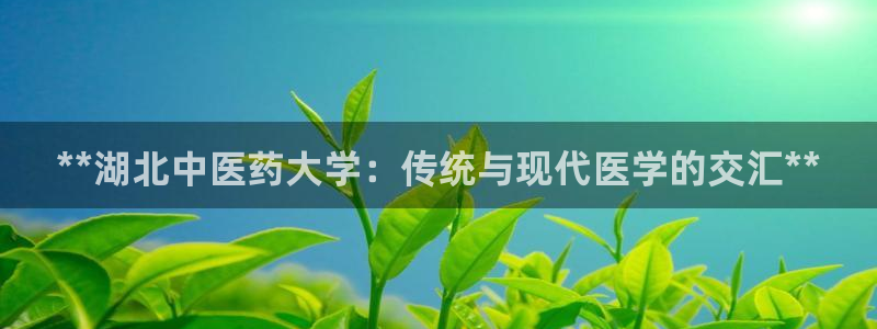 ag九游会登录j9入口