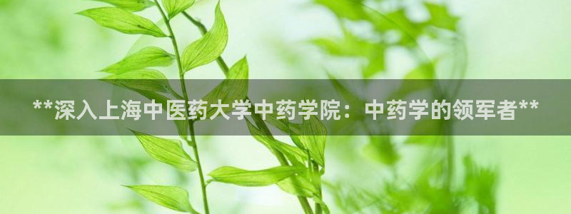 J9九游会首页登录