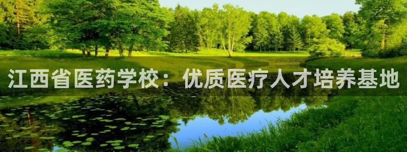 九游会j9官网网站